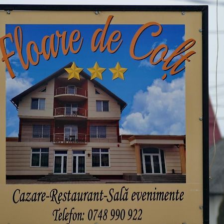 Hotel Floare De Colt Berbesti Zewnętrze zdjęcie