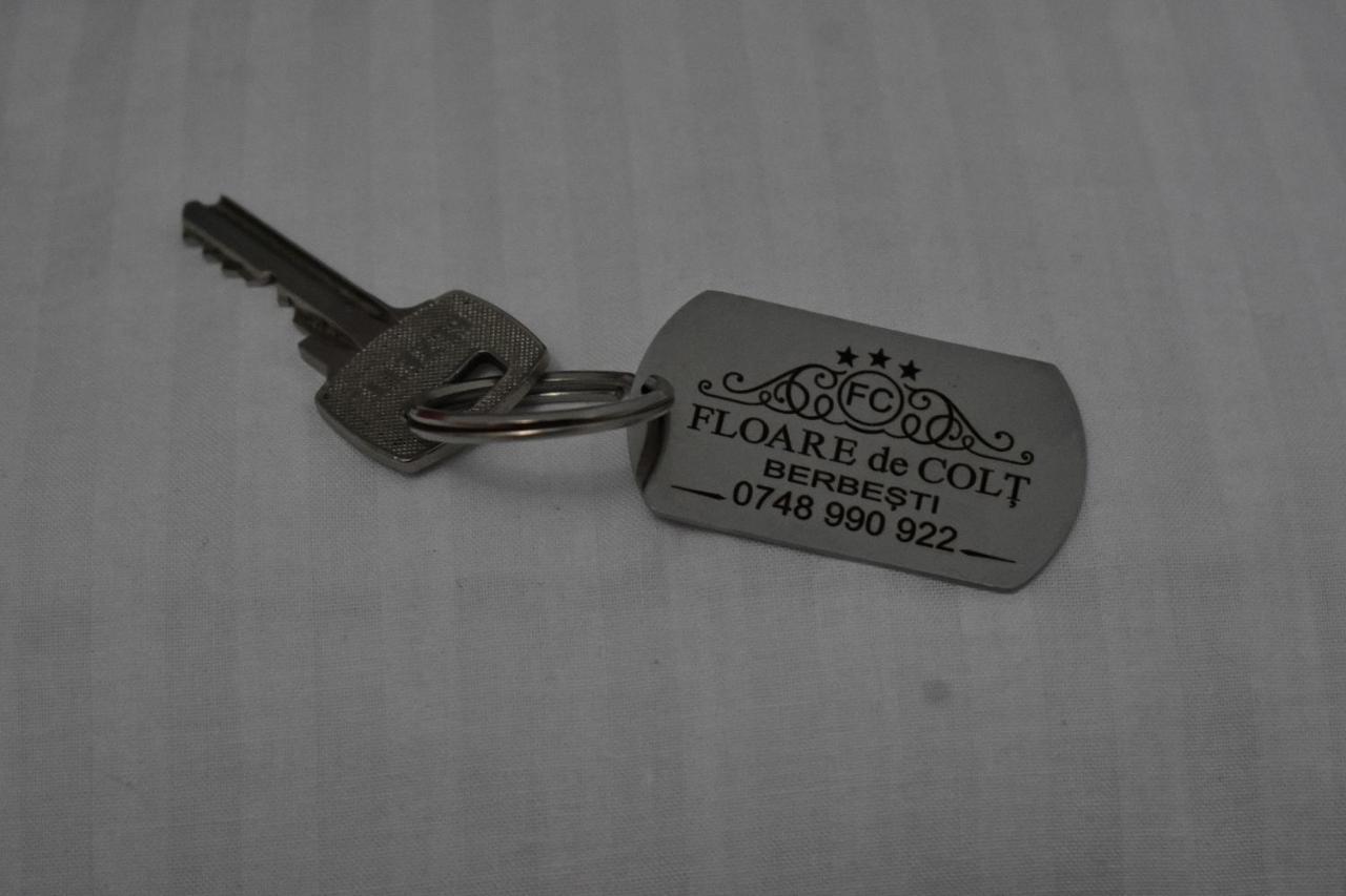 Hotel Floare De Colt Berbesti Zewnętrze zdjęcie